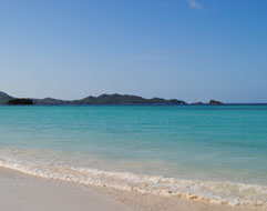 Cote D'Or